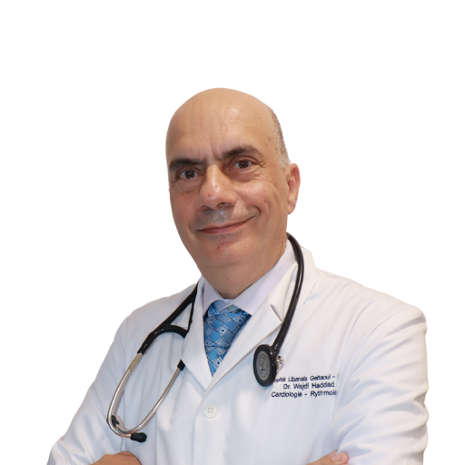 Wajdi Haddad MD